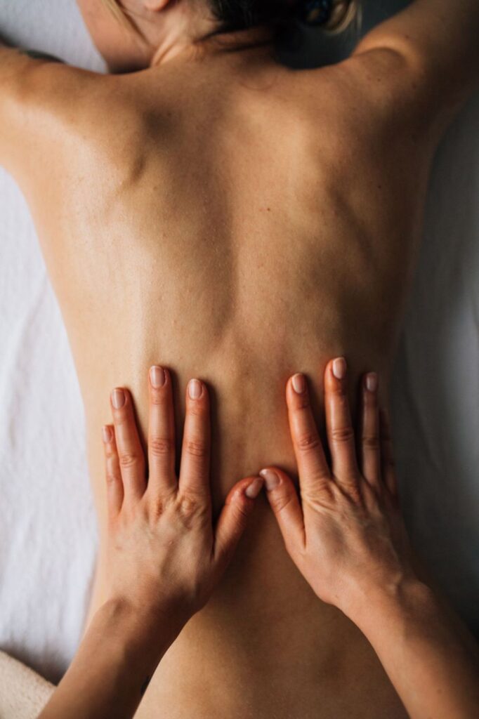 Anatomie palpatoire